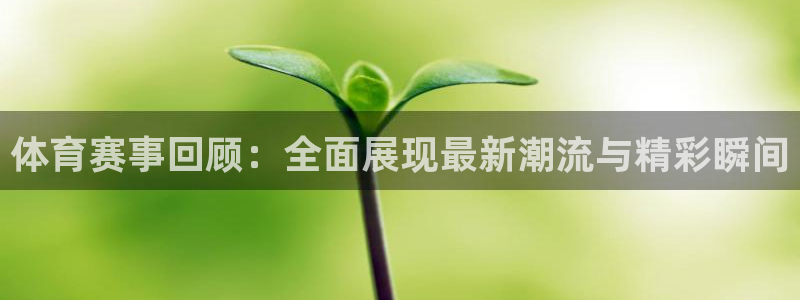 体育赛事回顾：全面展现最新潮流与精彩瞬间