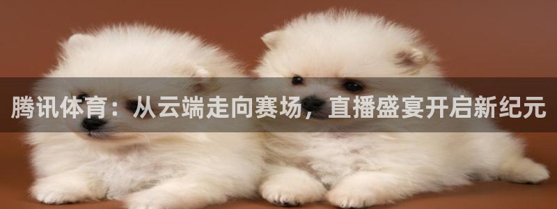 腾讯体育：从云端走向赛场，直播盛宴开启新纪元