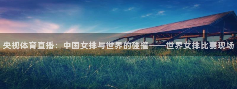 央视体育直播：中国女排与世界的碰撞——世界女排比赛现场