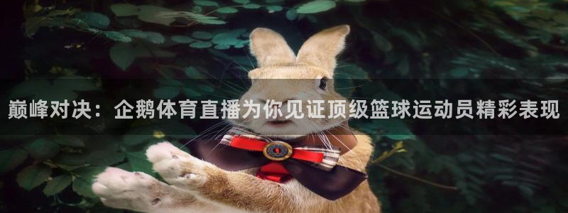 巅峰对决：企鹅体育直播为你见证顶级篮球运动员精彩表现