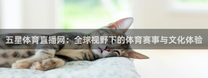 五星体育直播网：全球视野下的体育赛事与文化体验