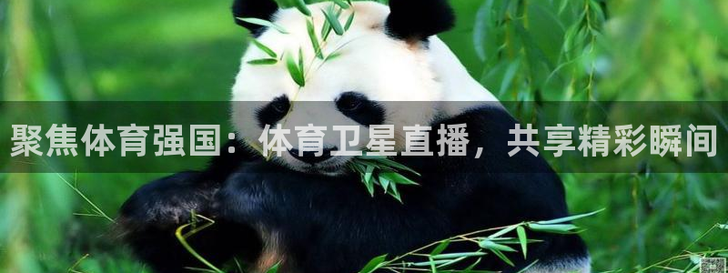 聚焦体育强国：体育卫星直播，共享精彩瞬间
