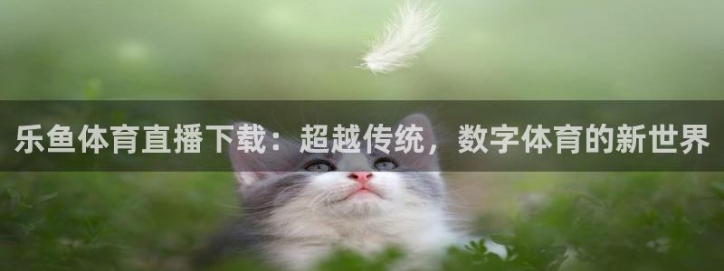 乐鱼体育直播下载：超越传统，数字体育的新世界